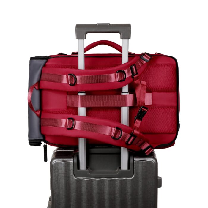 IMG_7129-scaled-1.jpg IMG_7129-scaled-1.jpg